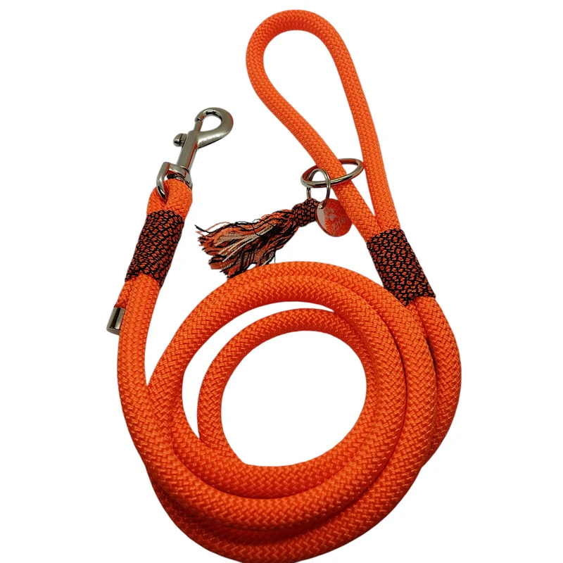 Collier pour chien DIAMOND NEON - Largeur 2cm