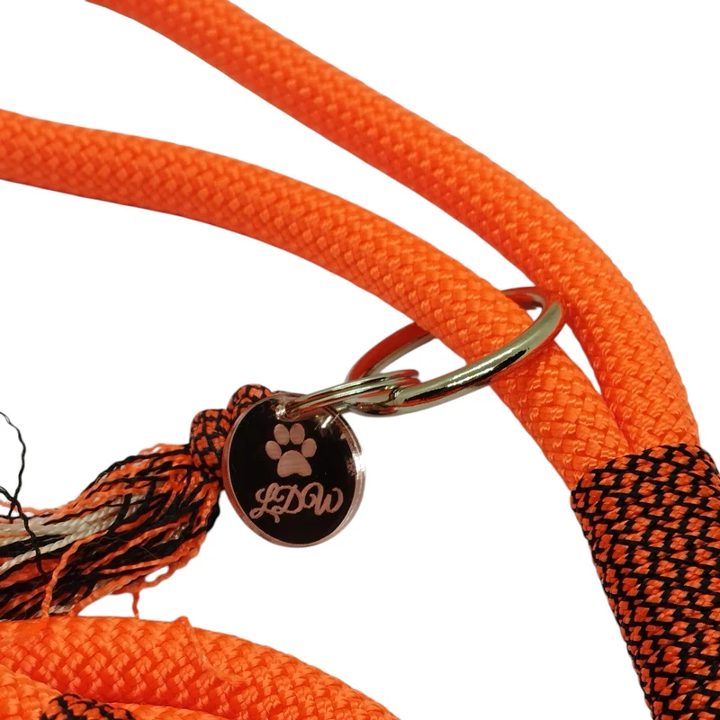 Collier pour chien DIAMOND NEON - Largeur 2cm