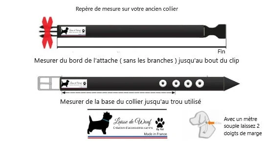 Collier pour chien DIAMOND NEON - Largeur 2cm