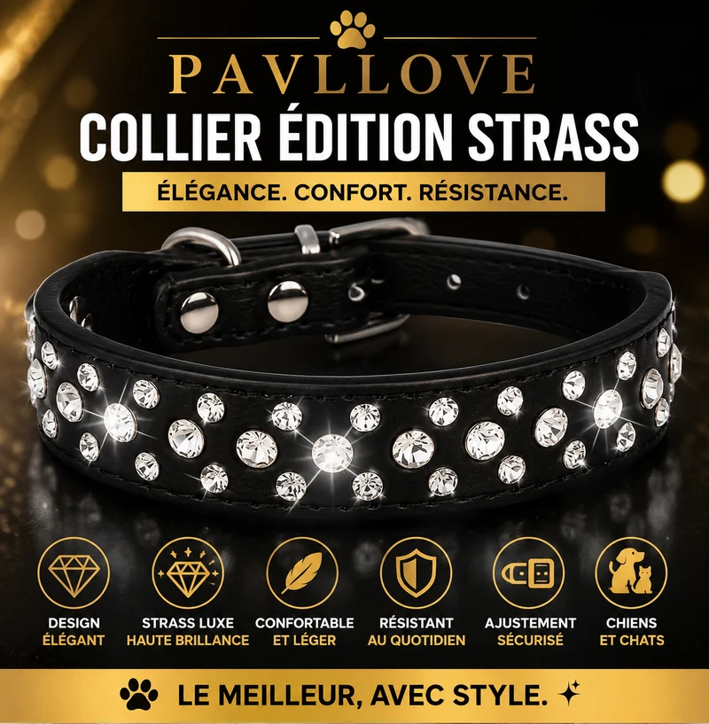 Collier Strass Noir – Chien & Chat | Élégant, Résistant & Confortable