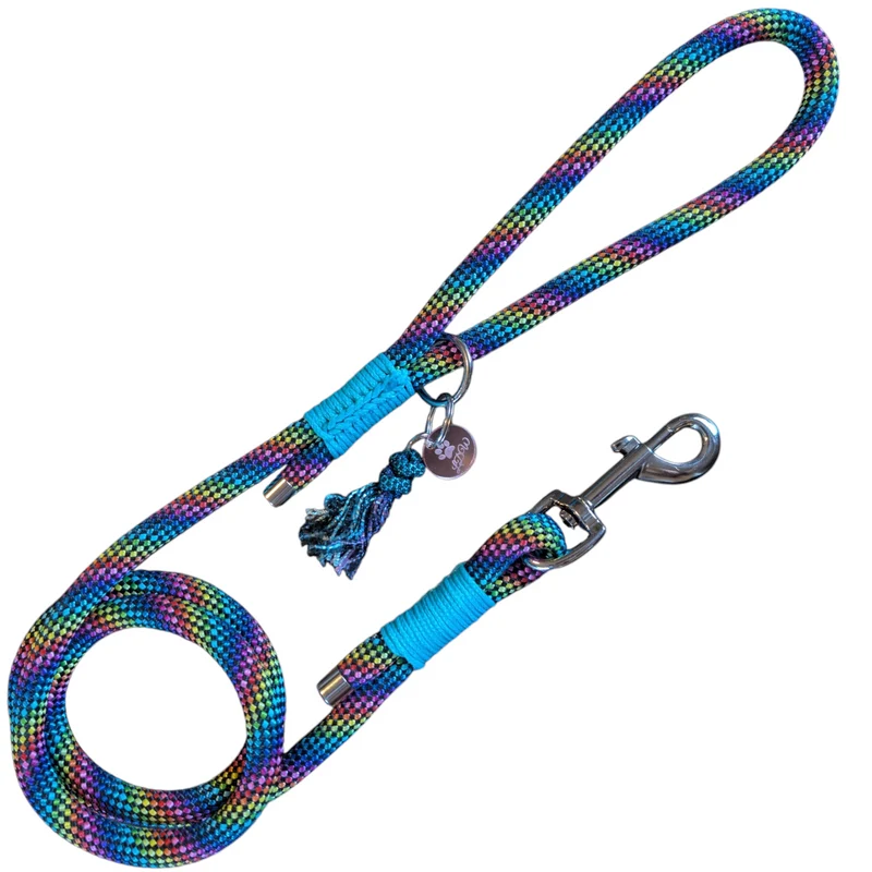 Laisse ARC-EN-CIEL paracorde 10mm