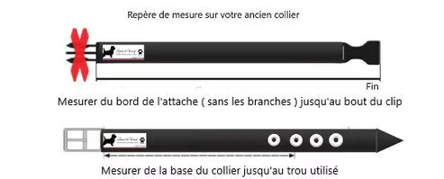 Collier anti-tiques et anti-puces pour chien et chat. Ambre et pierre de Quartz
