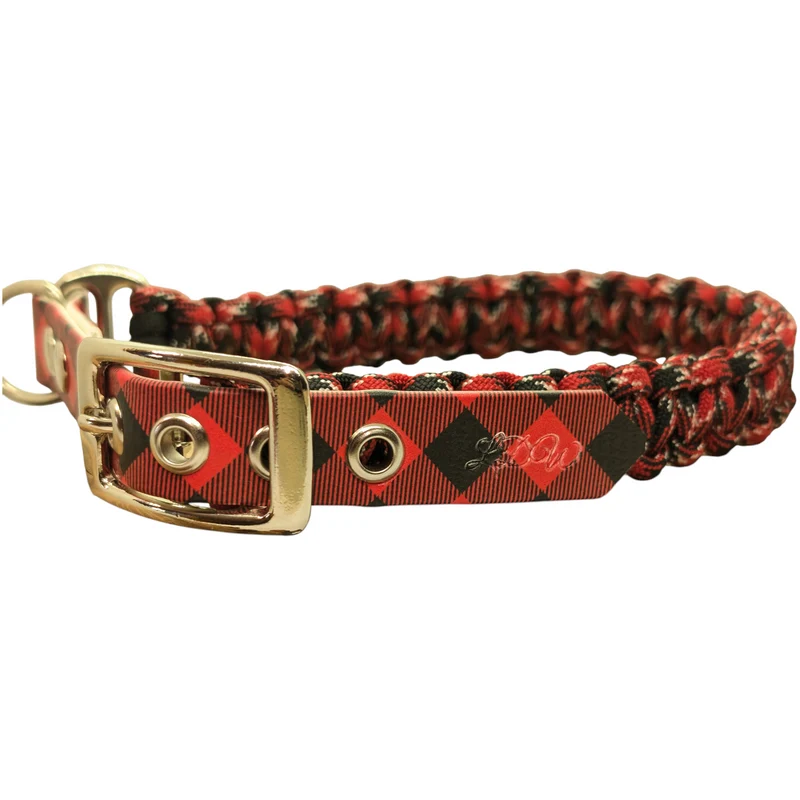 Collier pour chien Écossais