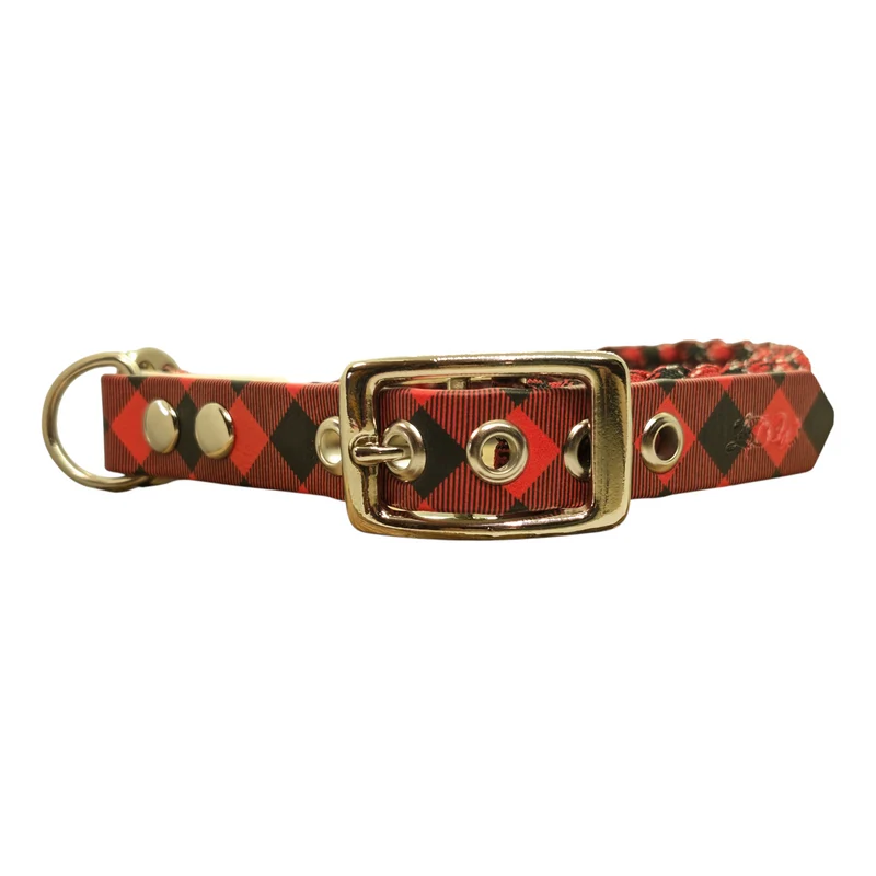 Collier pour chien Écossais