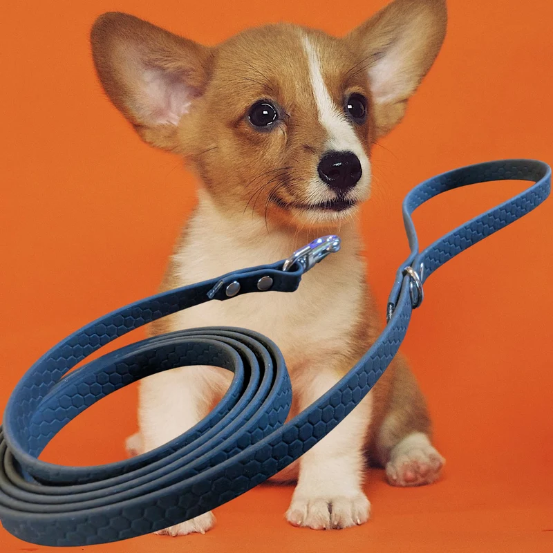 Laisse pour chien POP DOG CONFORT 16mm