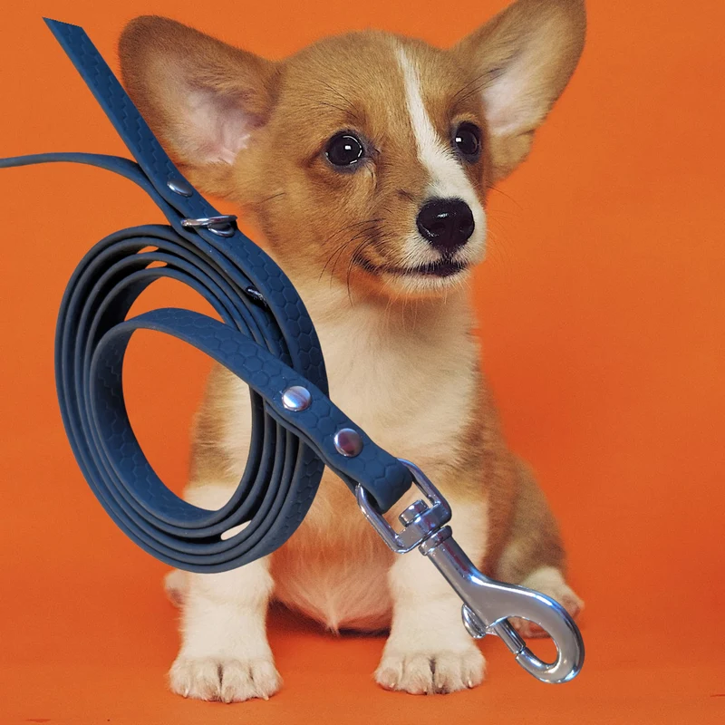 Laisse pour chien POP DOG CONFORT 16mm