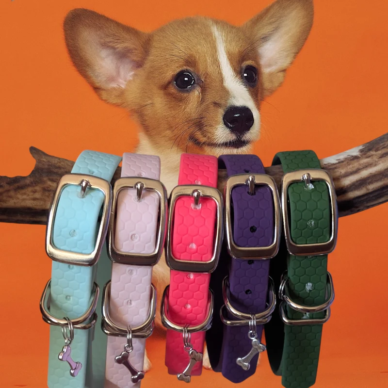 Collier pour chien POP DOG CONFORT 16mm