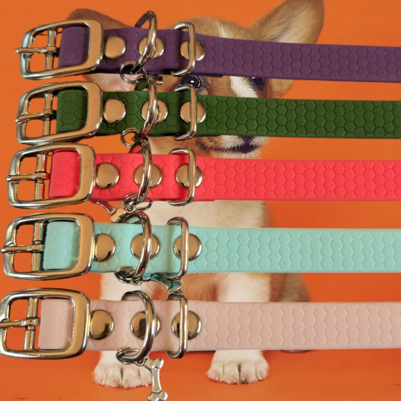 Collier pour chien POP DOG CONFORT 16mm