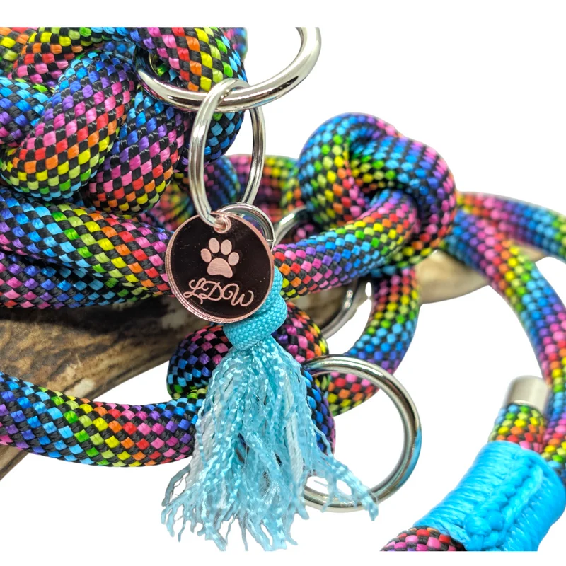 Laisse 3 points ARC-EN-CIEL paracorde 10mm