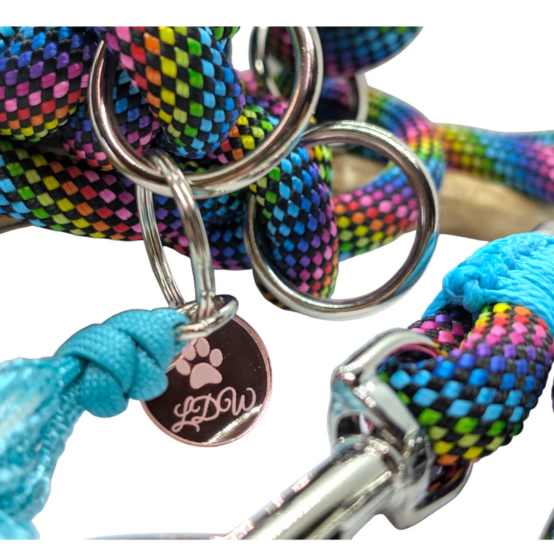 Laisse 3 points ARC-EN-CIEL paracorde 10mm