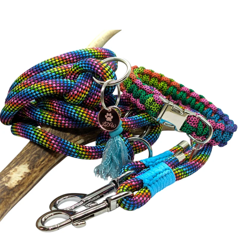 Collier pour chien ARC-EN-CIEL - Largeur 2cm