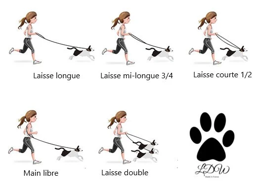 Laisse 3 points PRO EXPLORER Noire paracorde 10mm