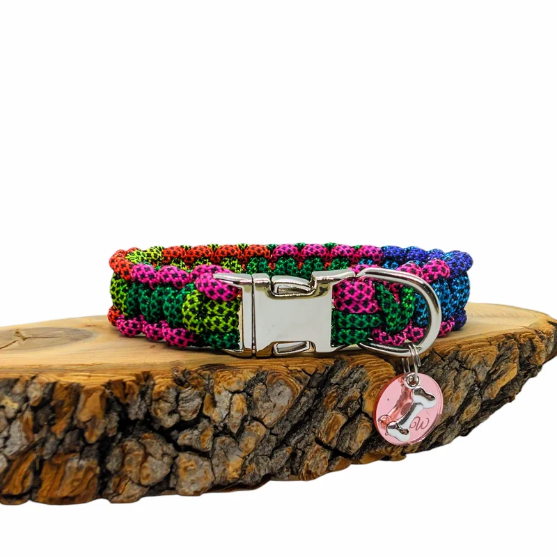 Collier pour chien ARC-EN-CIEL - Largeur 2cm