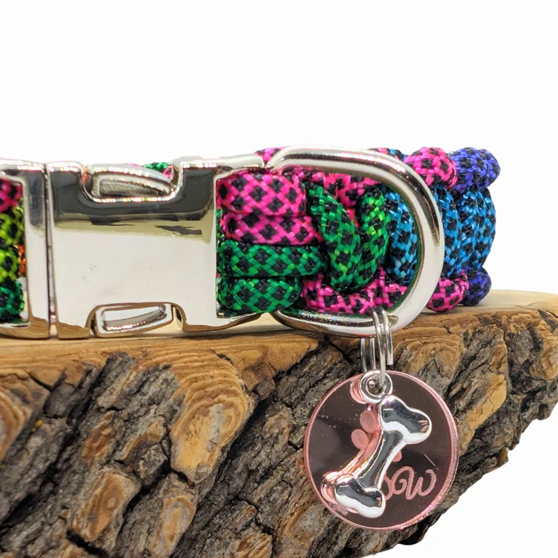 Collier pour chien ARC-EN-CIEL - Largeur 2cm