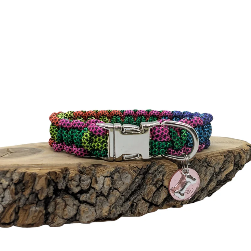 Collier pour chien ARC-EN-CIEL - Largeur 2cm