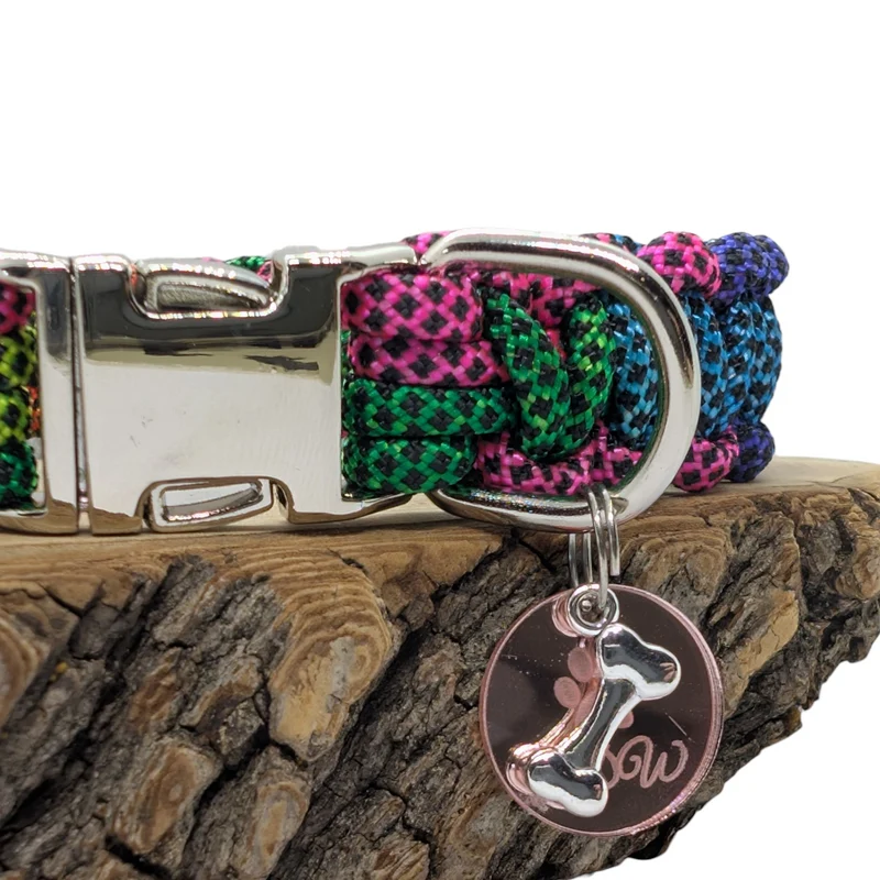 Collier pour chien ARC-EN-CIEL - Largeur 2cm