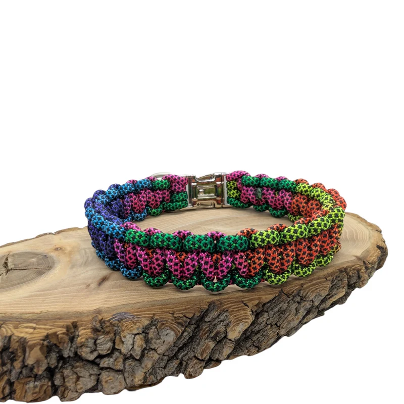 Collier pour chien ARC-EN-CIEL - Largeur 2cm