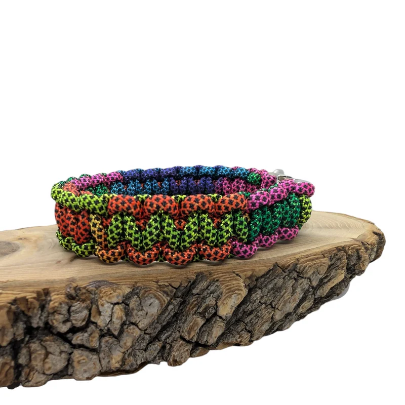 Collier pour chien ARC-EN-CIEL - Largeur 2cm