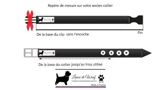 Collier chien Uni - largeur 2cm | Laisse de wouf