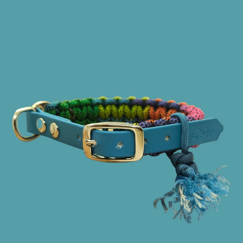 Collier réglable pour chien ARC-EN-CIEL - largeur 2cm