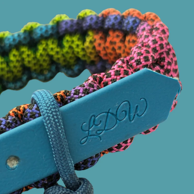 Collier réglable pour chien ARC-EN-CIEL - largeur 2cm