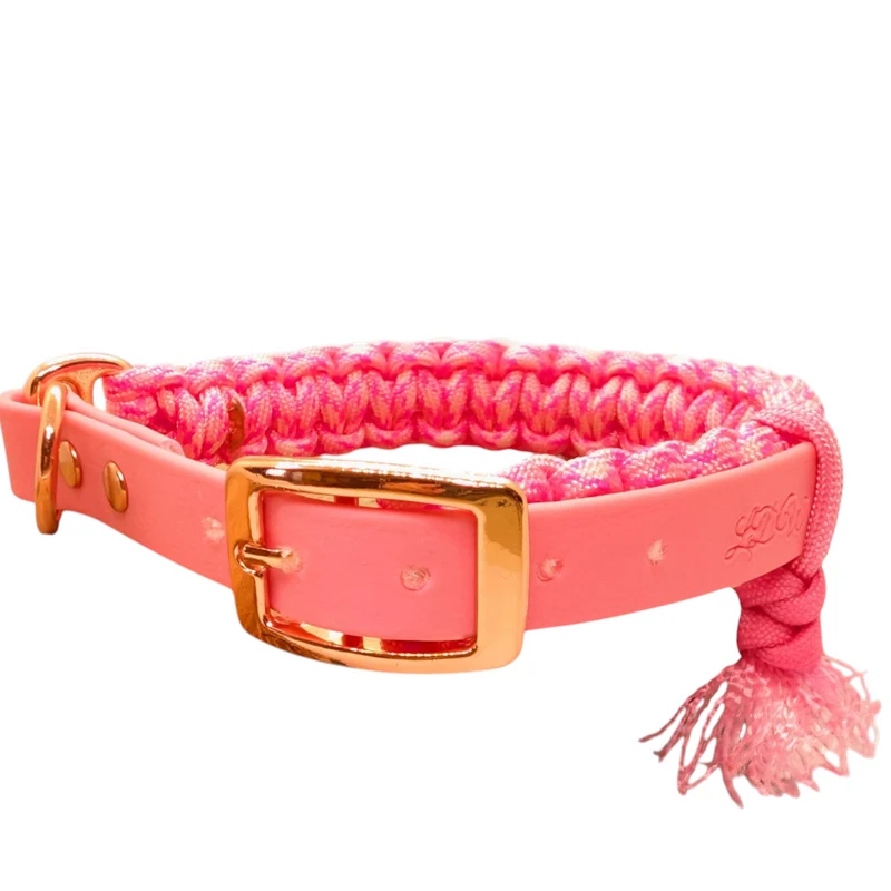 Collier réglable pour chien en paracorde BUBBLE GUM - largeur 2cm
