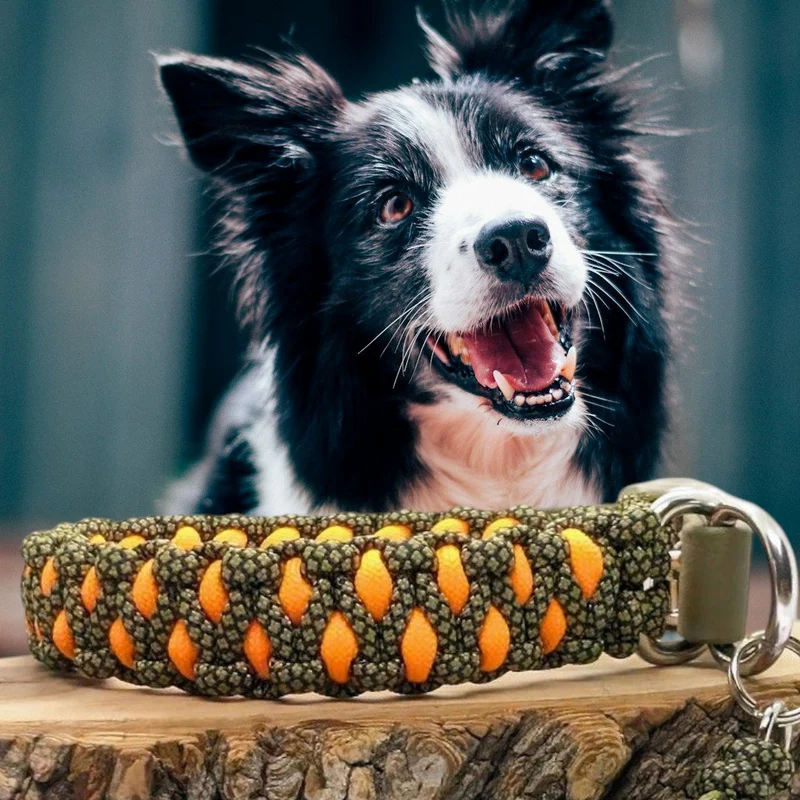 Collier réglable pour chien TRAPPEUR - largeur 2cm