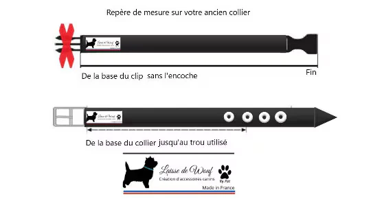 Collier réglable pour chien TRAPPEUR - largeur 2cm