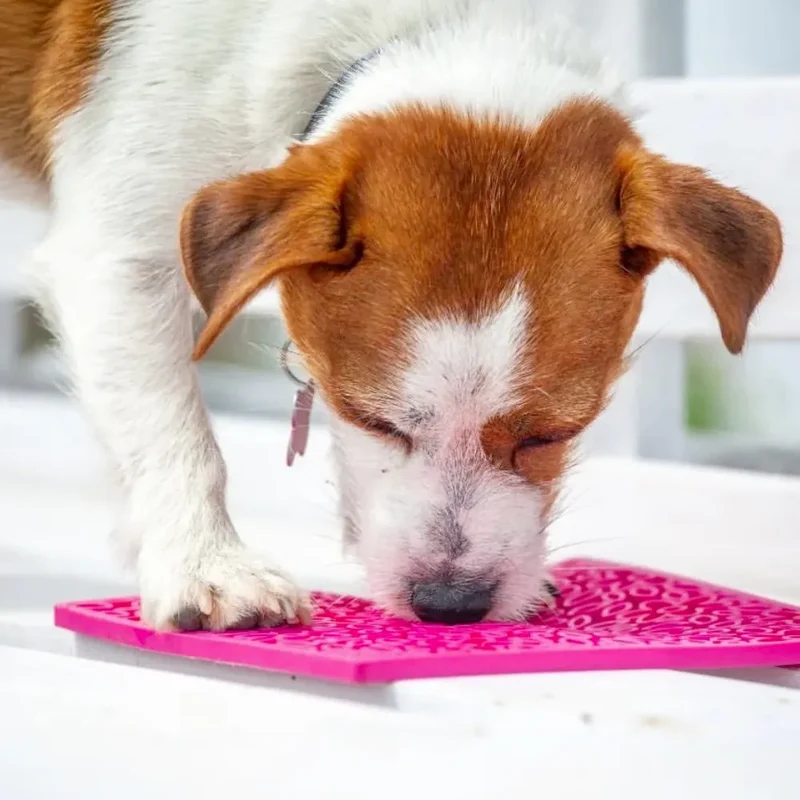 Tapis de léchage Flower Power – eMat pour chien et chat – Sodapup®