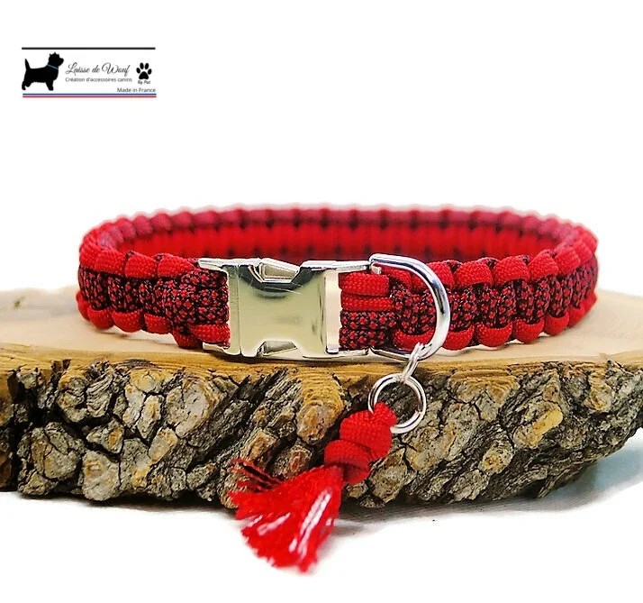 Collier pour chien DIAMOND Bi-color - Largeur 2cm