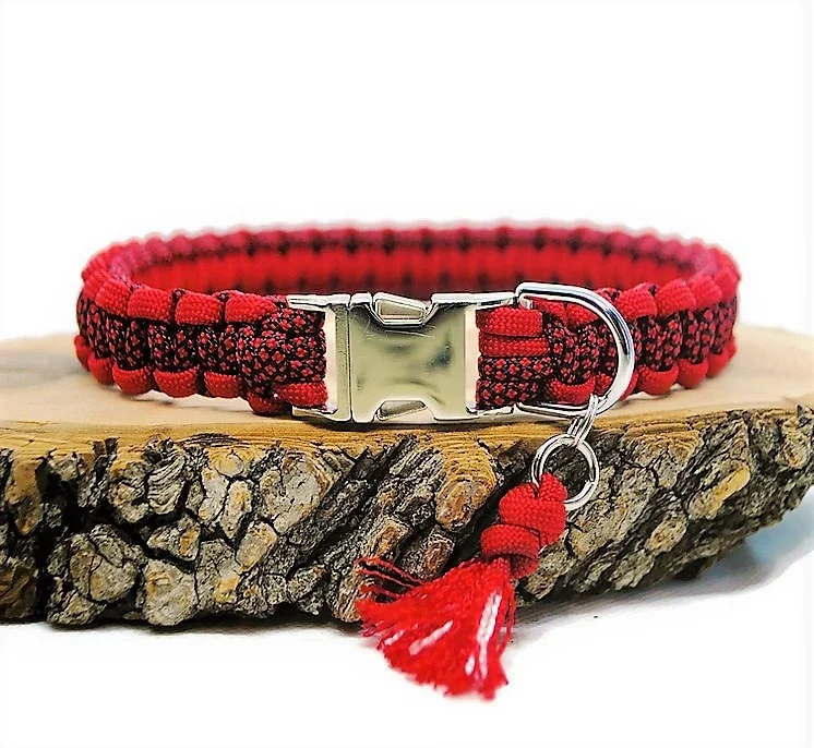 Collier pour chien DIAMOND Bi-color - Largeur 2cm