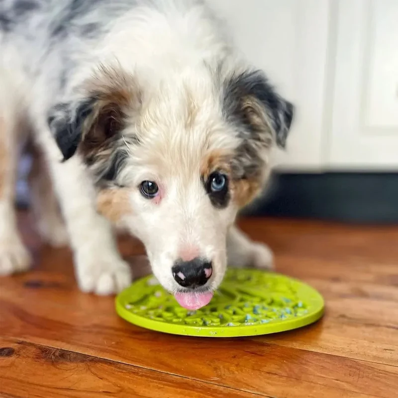 Tapis de léchage Arbre de Vie – eMat à ventouses pour chien – Sodapup®