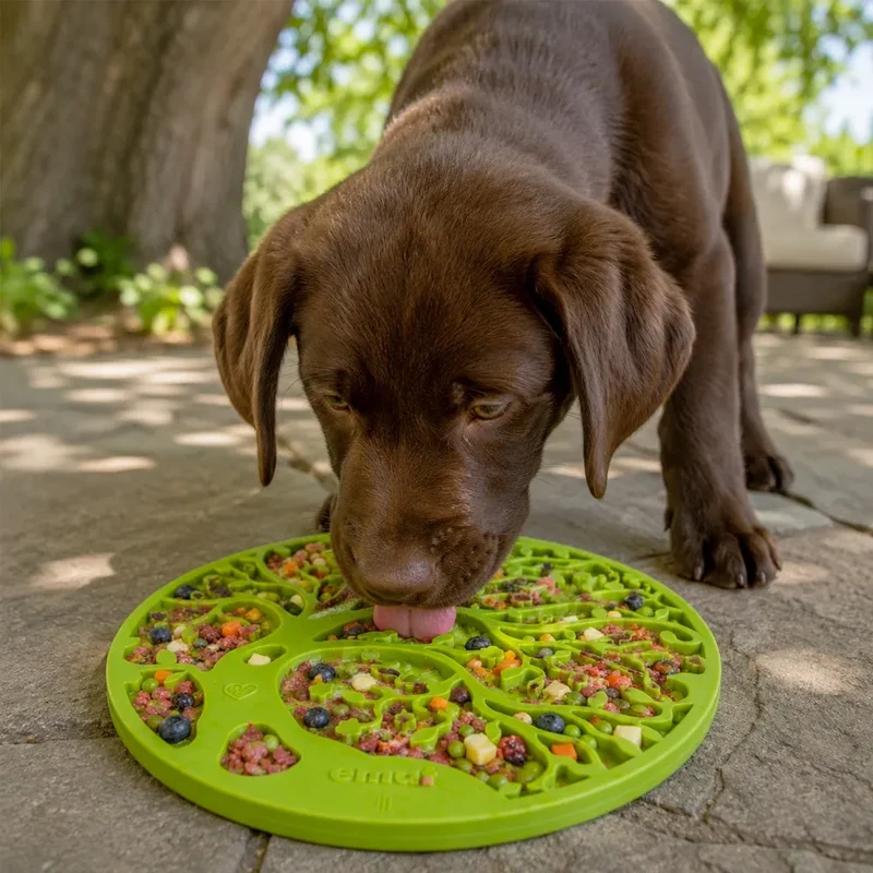 Tapis de léchage Arbre de Vie – eMat à ventouses pour chien – Sodapup®
