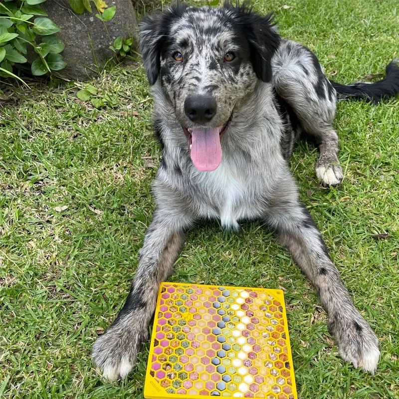 Tapis de léchage Nid d'Abeille – eMat pour chien et chat – Sodapup®