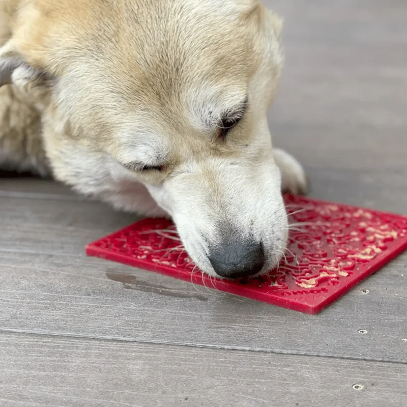 Tapis de léchage Os – eMat pour chien – Sodapup®