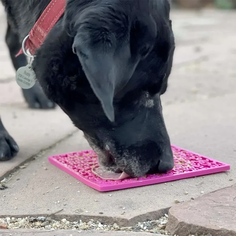 Tapis de léchage Puzzle – eMat pour chien – Sodapup®
