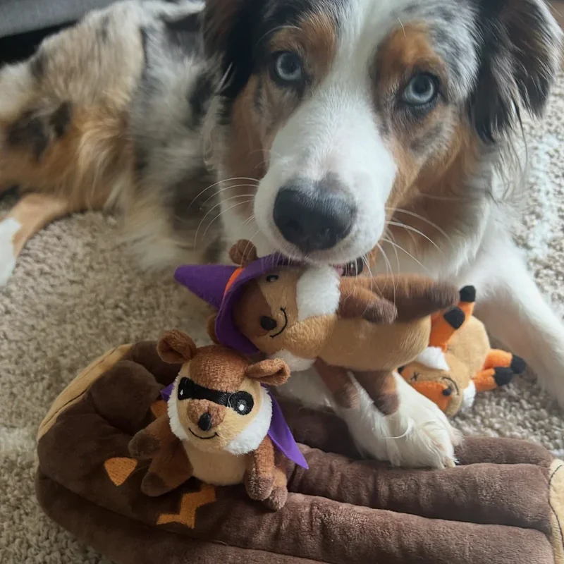Peluche de flair XXL Bûche hantée 🪵🐿️ - Jouet d'occupation pour chien – ZippyPaws® Burrow™ Haunted Log