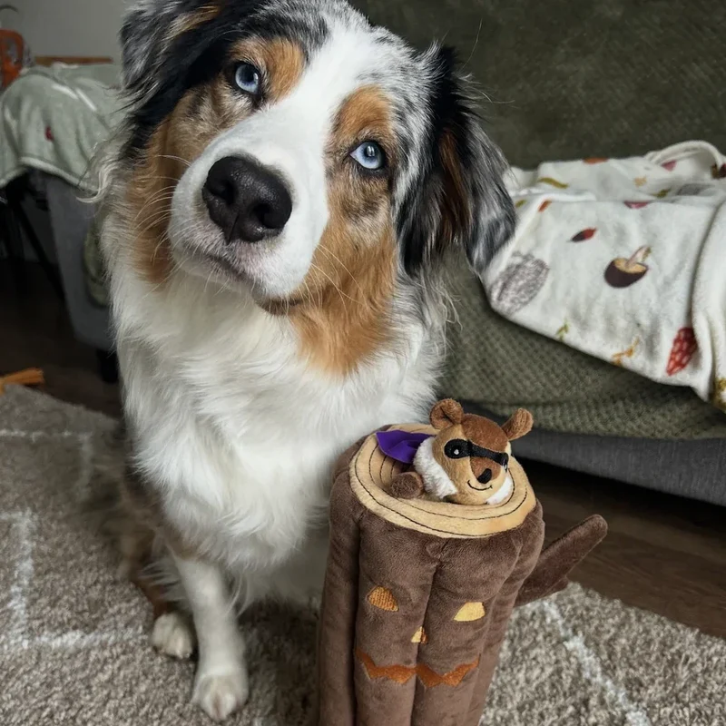 Peluche de flair XXL Bûche hantée 🪵🐿️ - Jouet d'occupation pour chien – ZippyPaws® Burrow™ Haunted Log