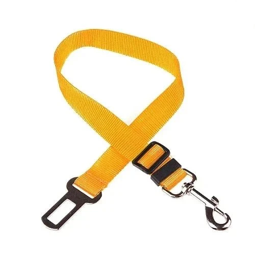 Ceinture de sécurité pour chien