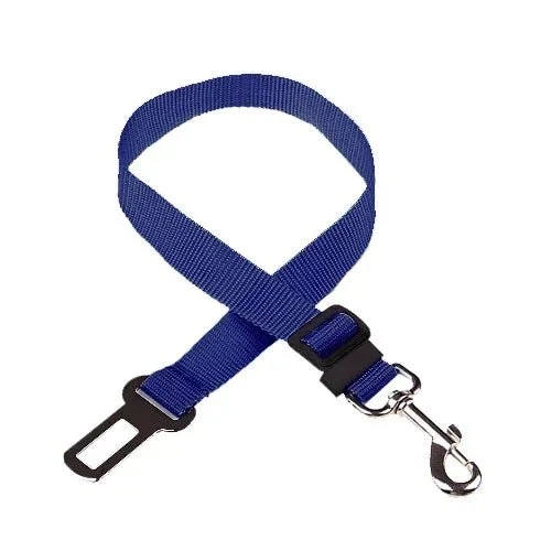 Ceinture de sécurité pour chien