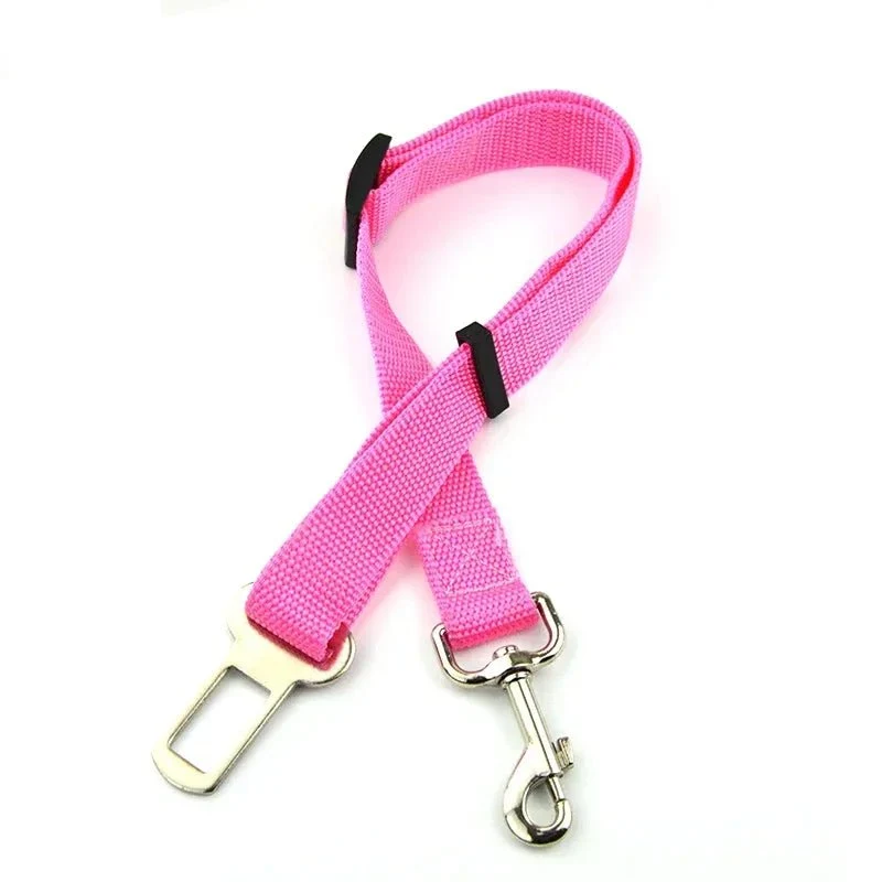 Ceinture de sécurité pour chien