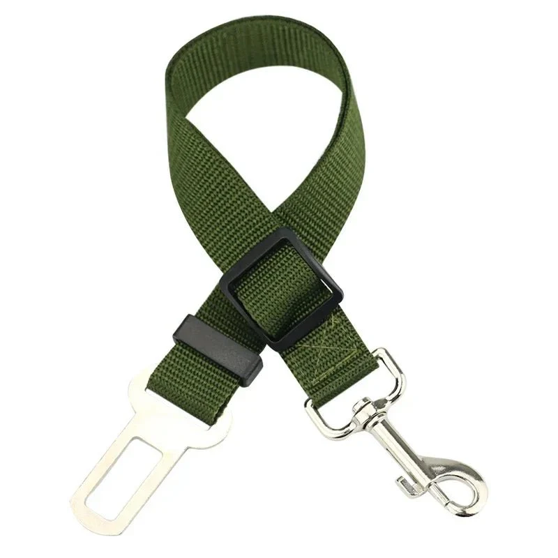 Ceinture de sécurité pour chien