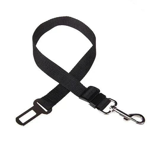 Ceinture de sécurité pour chien