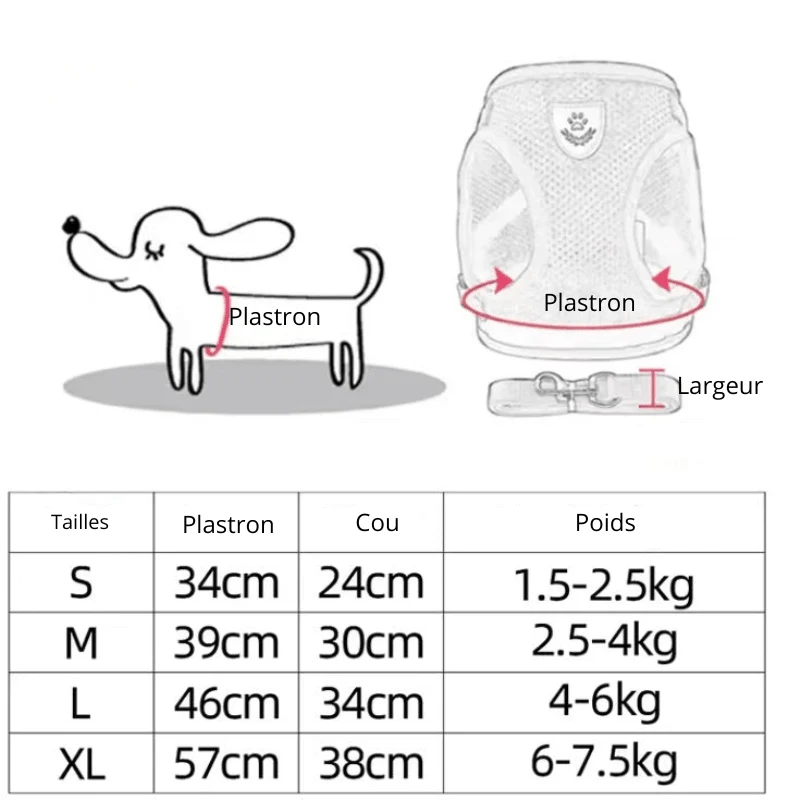Harnais pour Chihuahua