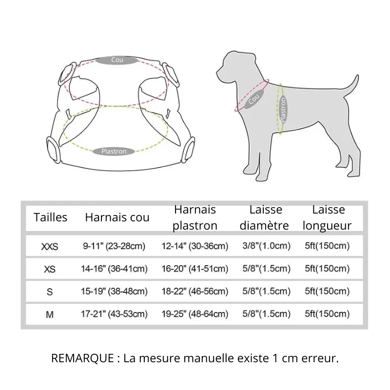 Harnais avec laisse pour Chihuahua