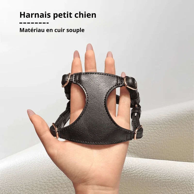 Harnais style cuir avec laisse pour Chihuahua