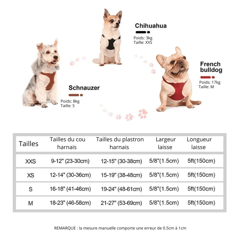 Harnais style cuir avec laisse pour Chihuahua