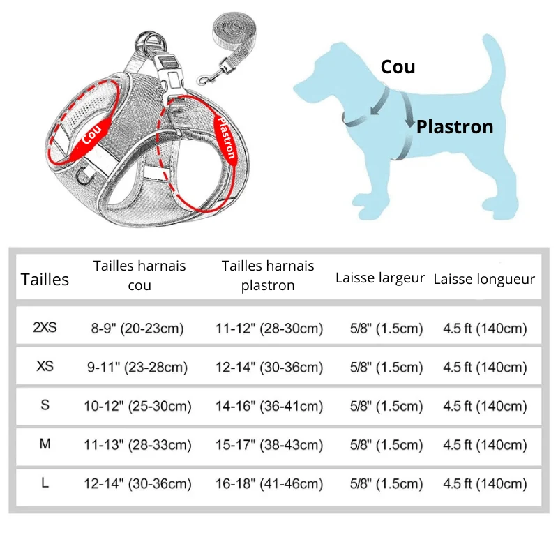 Harnais en nylon pour chihuahua
