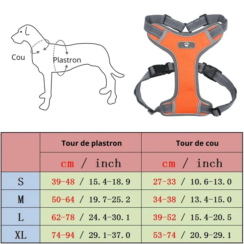 Harnais pour gros chien