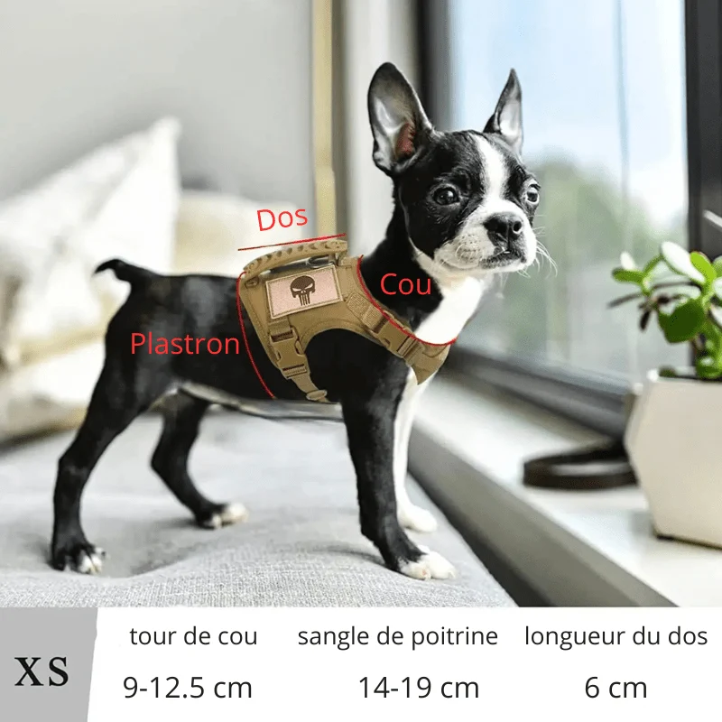 Harnais militaire pour chiot
